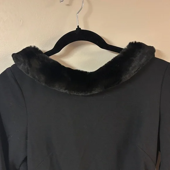 Ralph Lauren Black Elegant Long Sleeve Dress with Luxe Faux Fur Collar - Picture 3 of 9